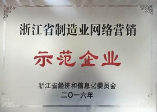 浙江省制造業(yè)網(wǎng)絡(luò)營(yíng)銷示范企業(yè)